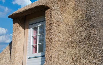 Cox Moor thatch roof disadvantages